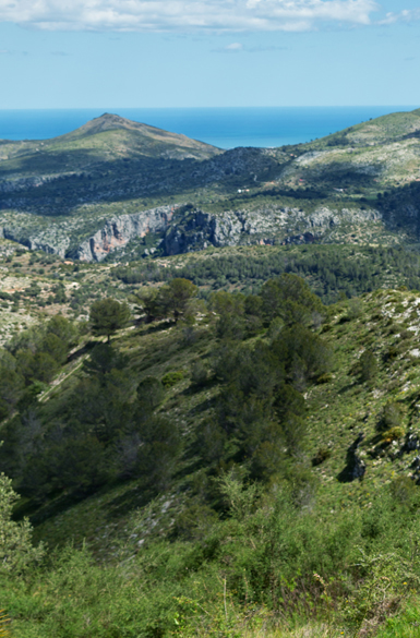 pano1_01
