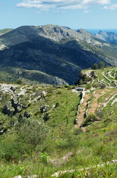 pano1_02
