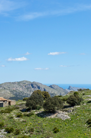 pano2_03